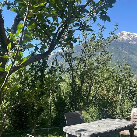 Sunface Homestay 마날리 외부 사진