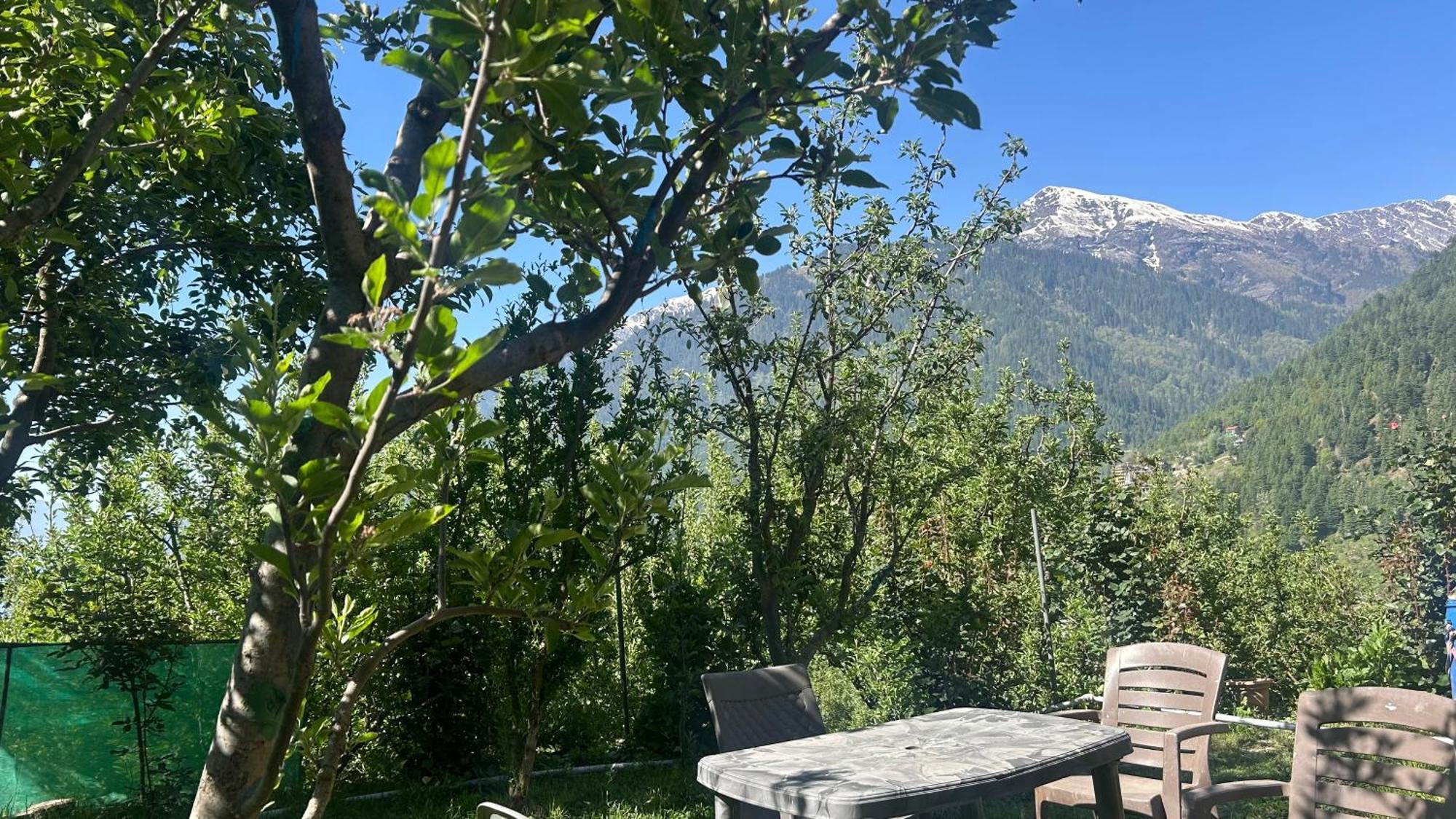 Sunface Homestay 마날리 외부 사진